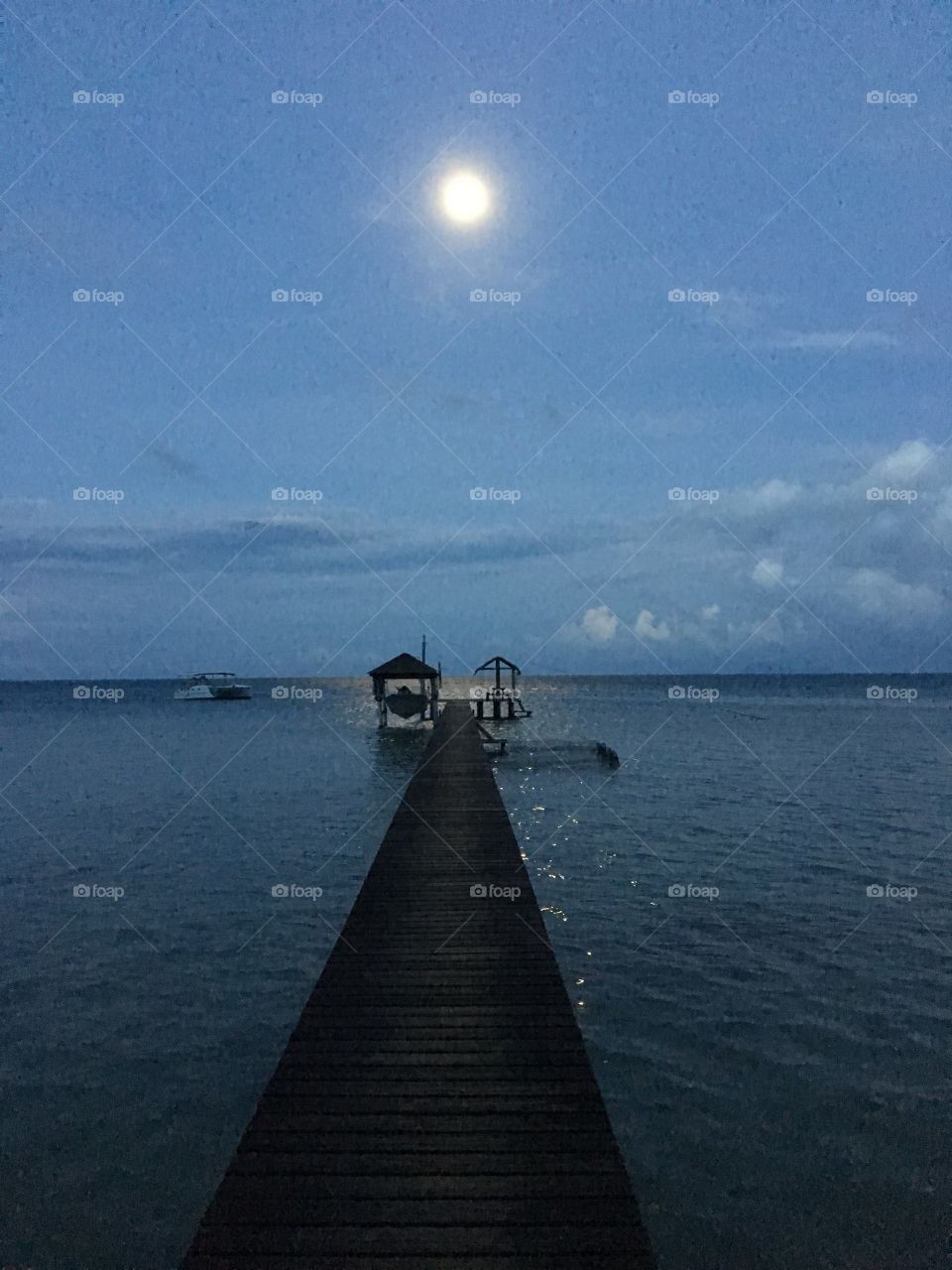Polynesian moonlight