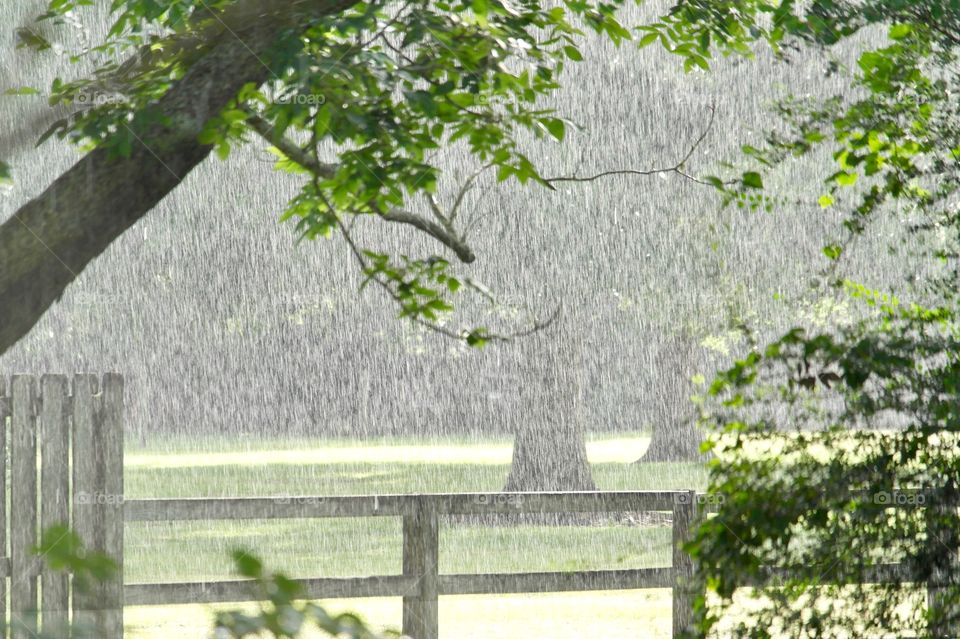 Raining and sunshiny 