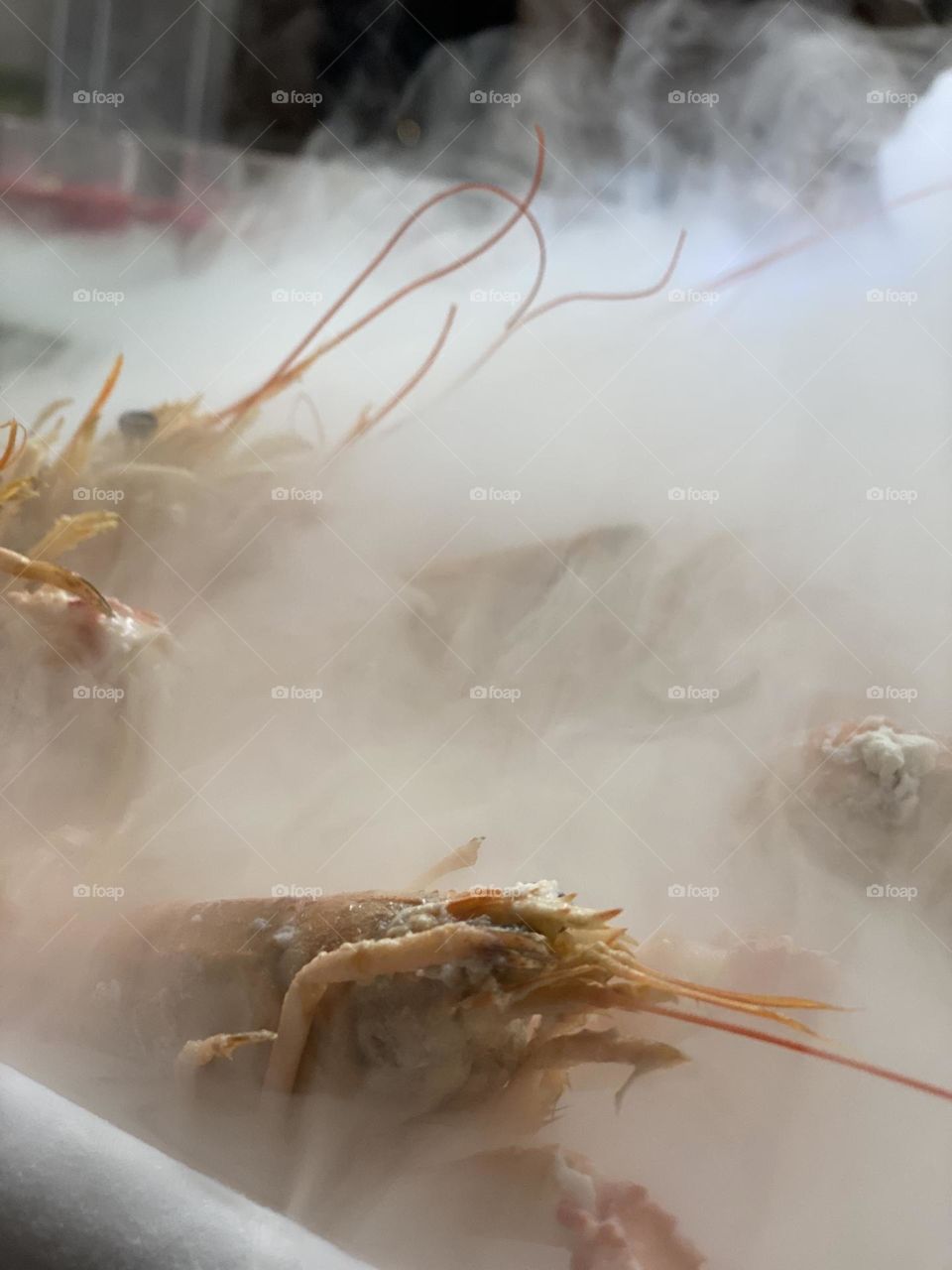 Shrimps in dry ice