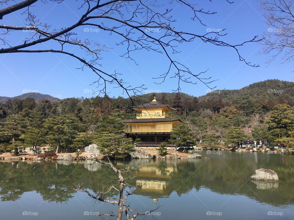 Golden pavillion in Kyoto.
