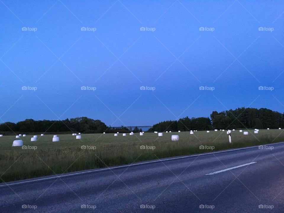 Evening view on a fild with covered hay rolls, Kolmården, Sweden 