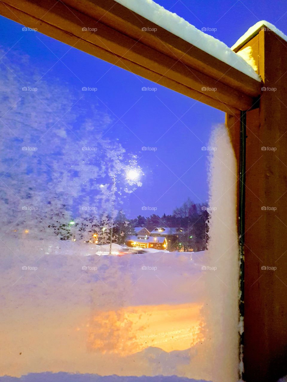 a window in the fence