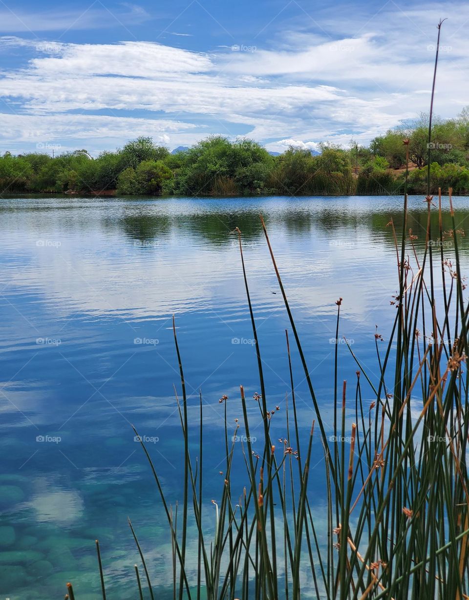 Cloud Reflections in the Lake