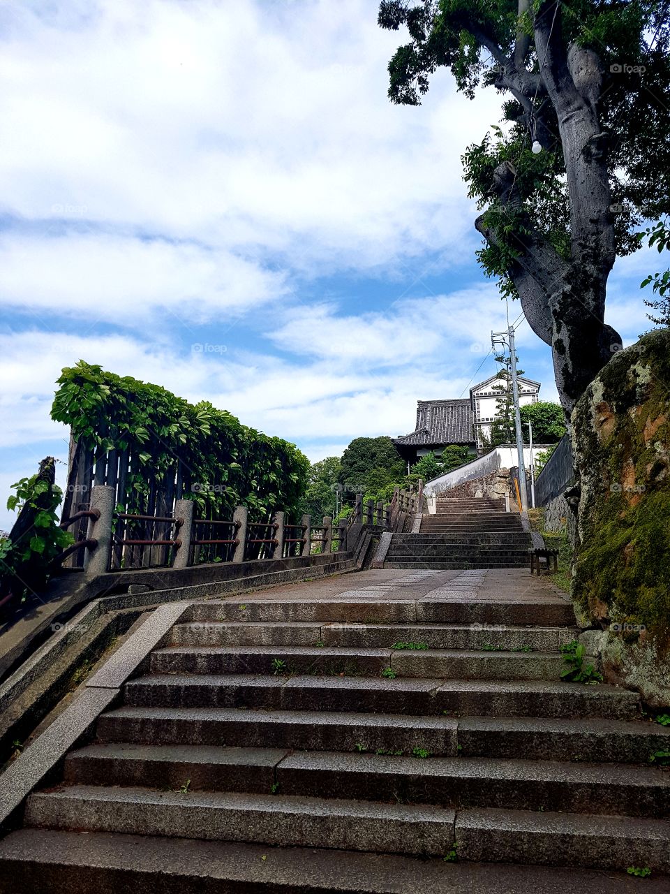 The stairs leading up to the 1700+ year old Aichi shrine
