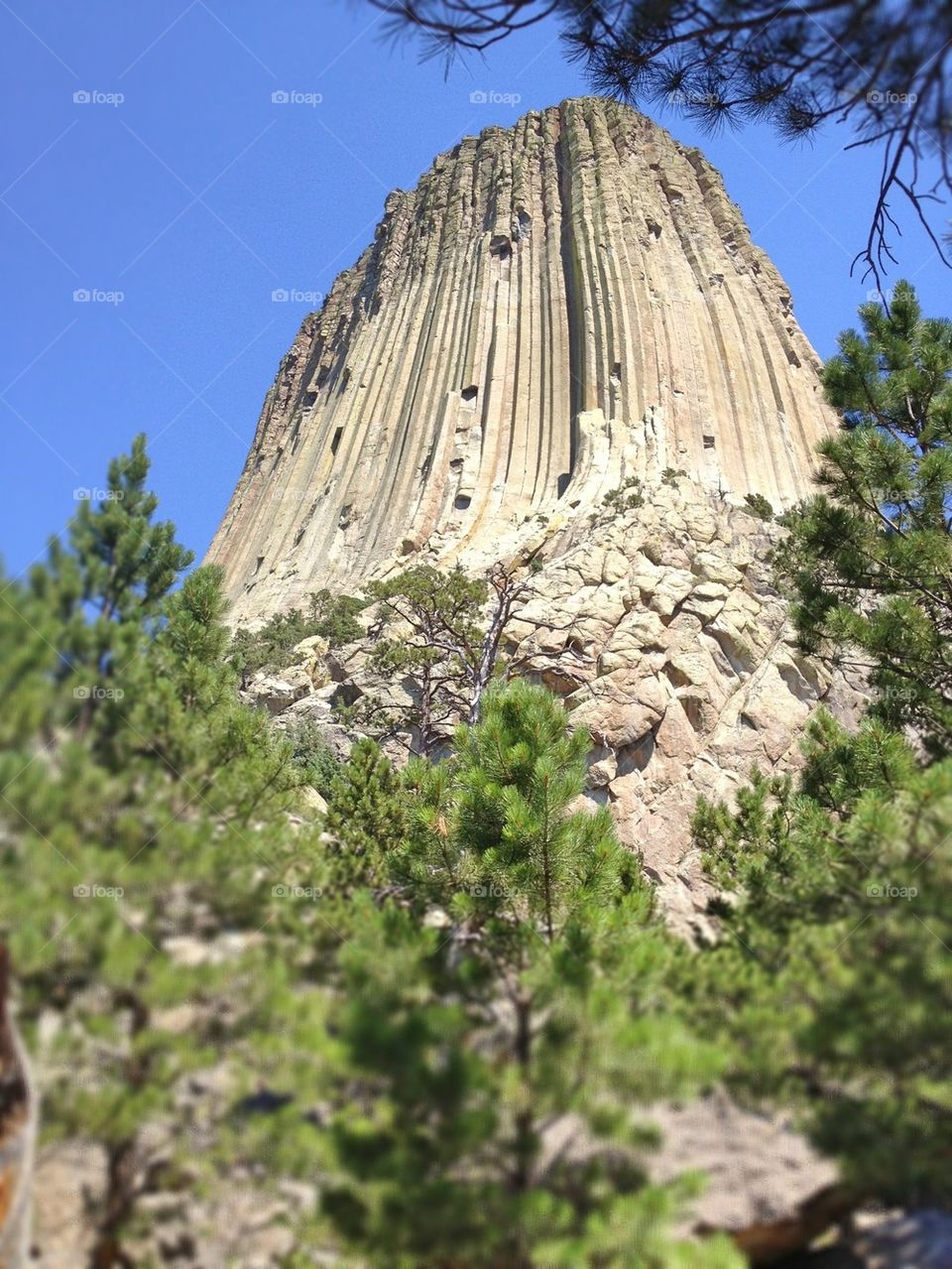 Devils Tower close up 
