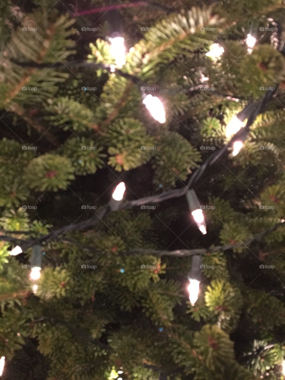 Christmas Tree Lights sans ornaments