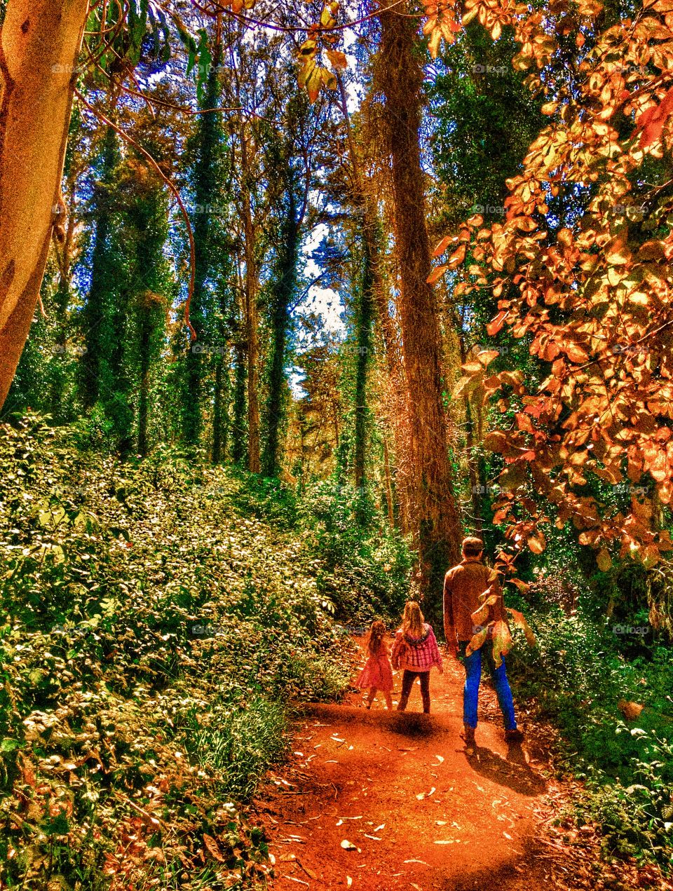 Autumn is here! Interior Greenbelt of San Francisco with father and daughters on path