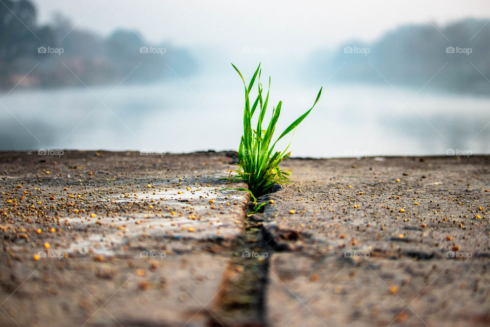 spring is coming back 🌷