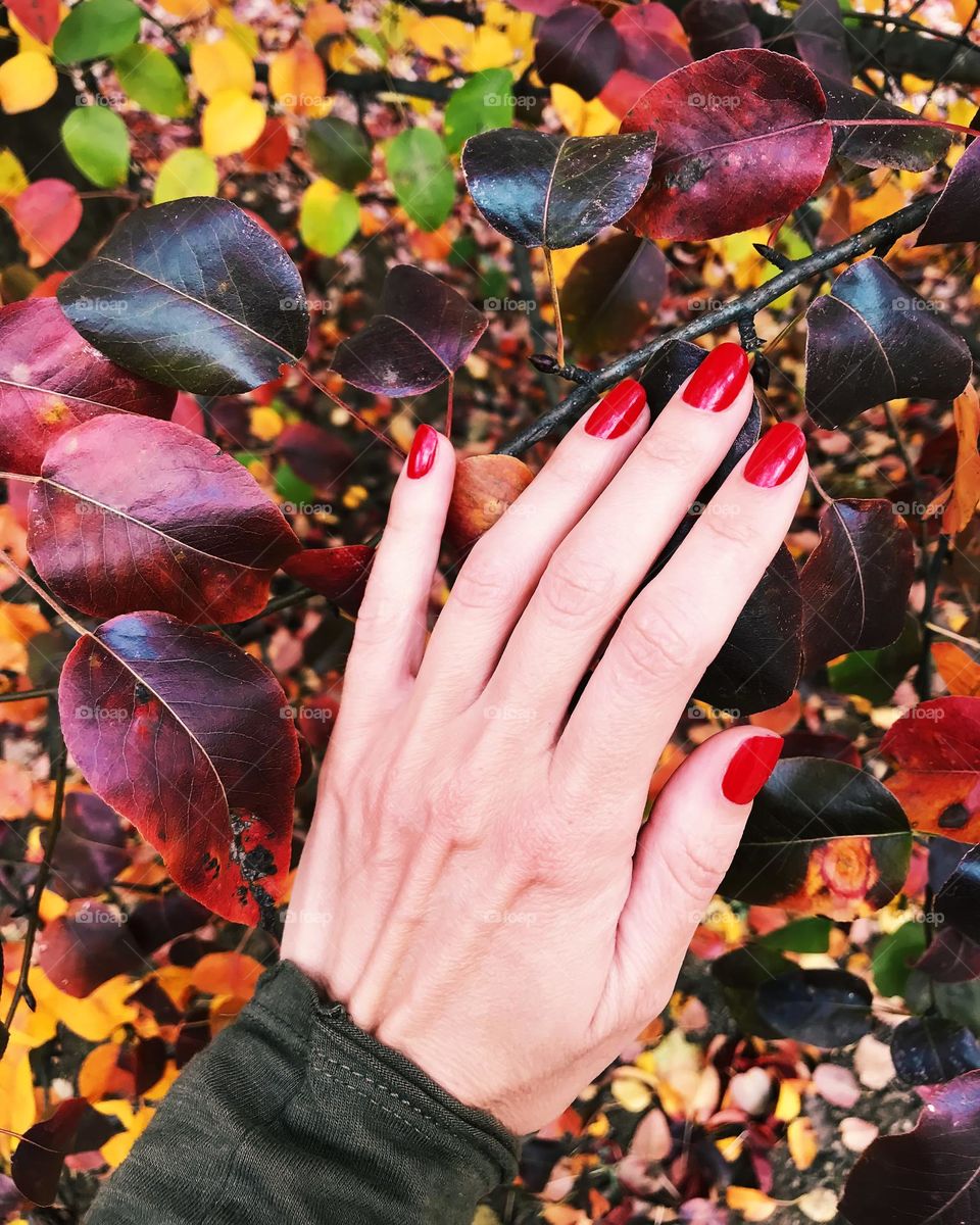 Autumn color 