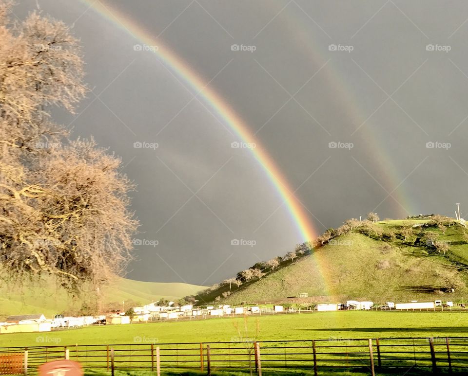 Double rainbow here today, loved looked at it! Looked even better in person. 