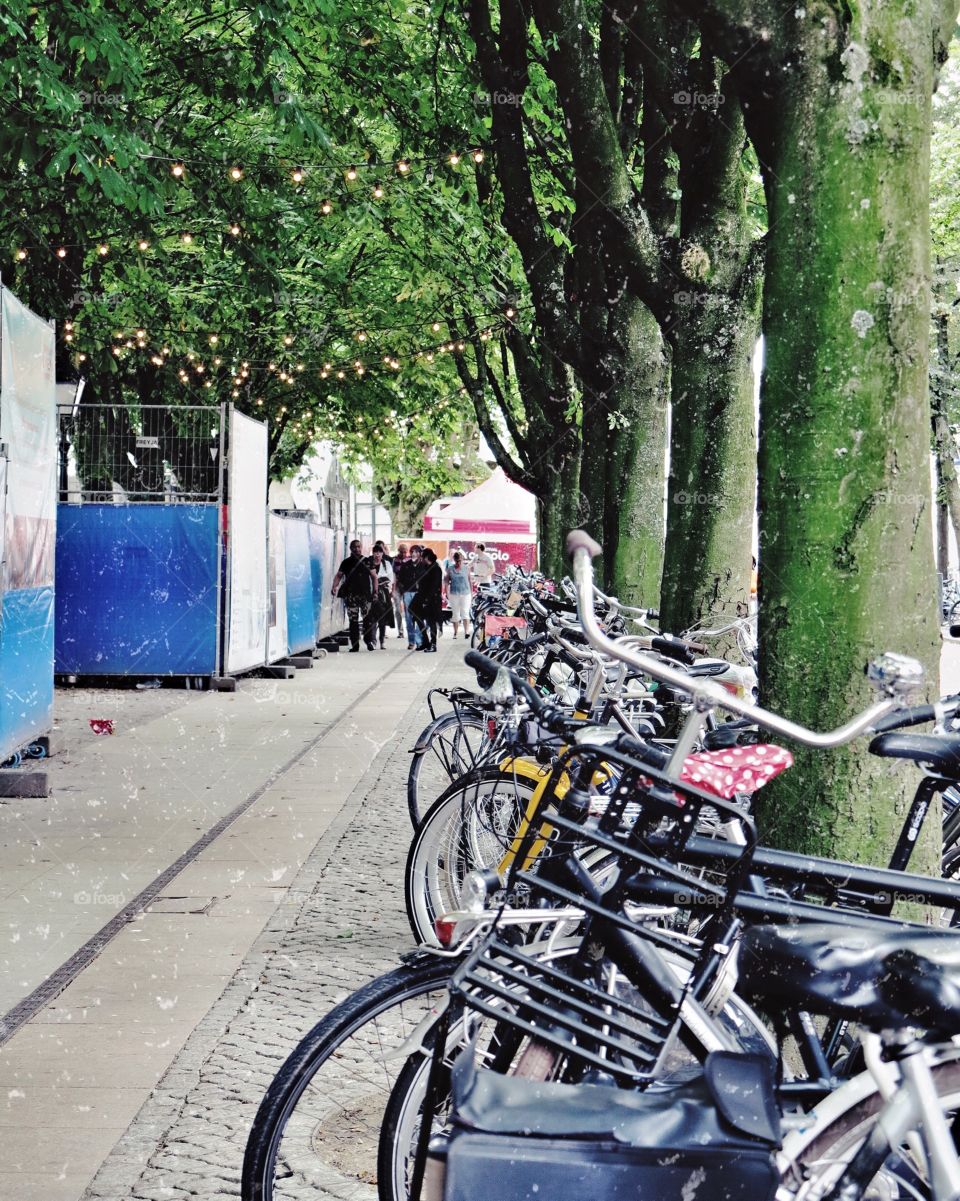 Street of dutch city