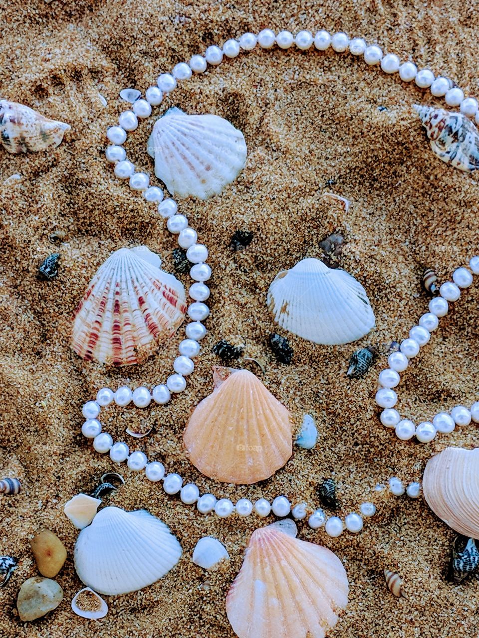Seashells and pearls