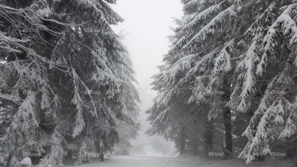 black and white . our climb was 1000 steps from the snow but it was just an uphill