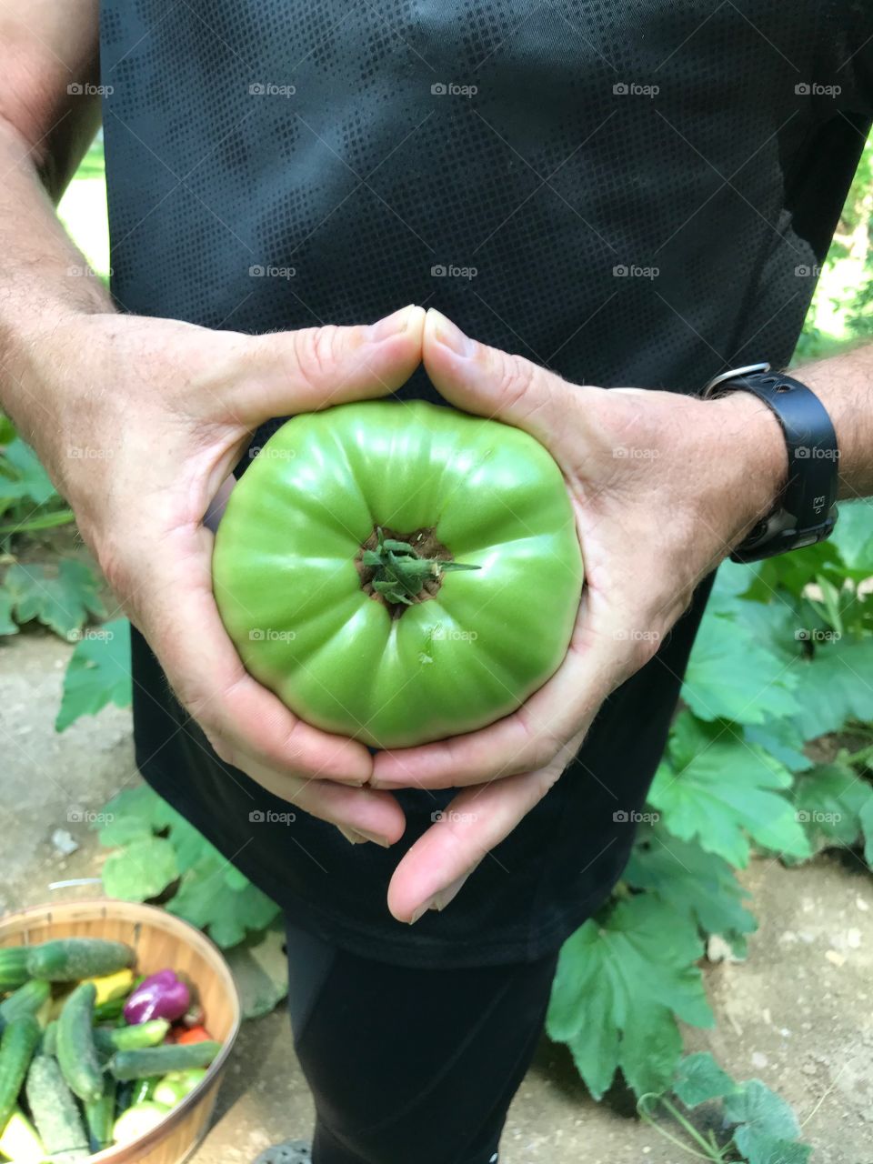 Fried green tomatoes 