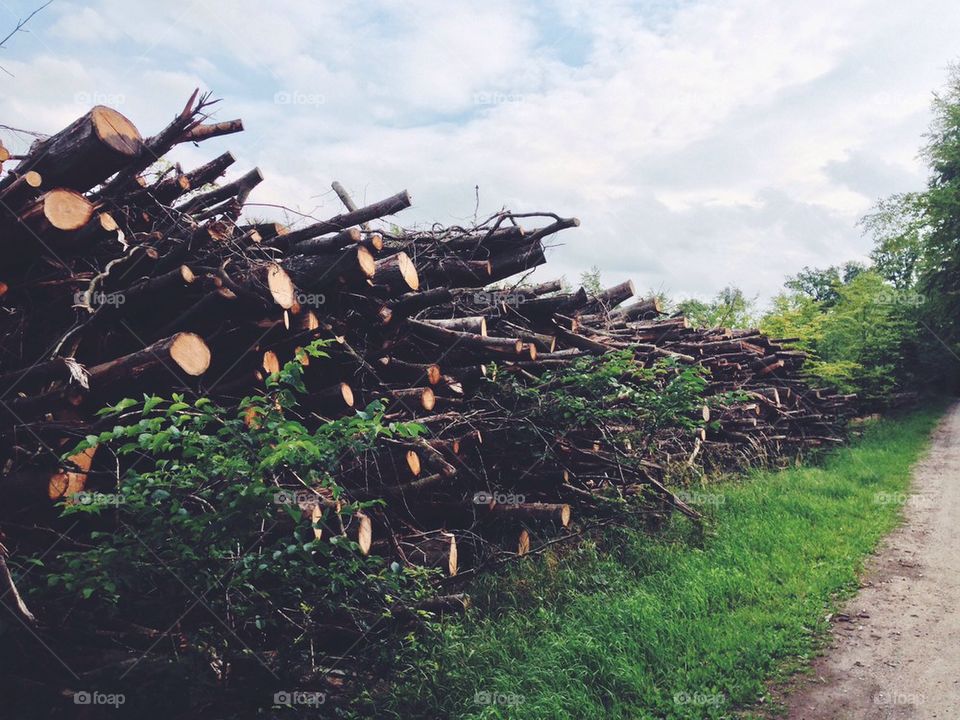 Pile of woods outdoors