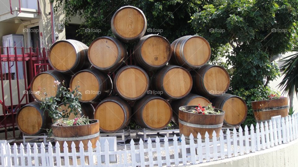 Winery Barrels