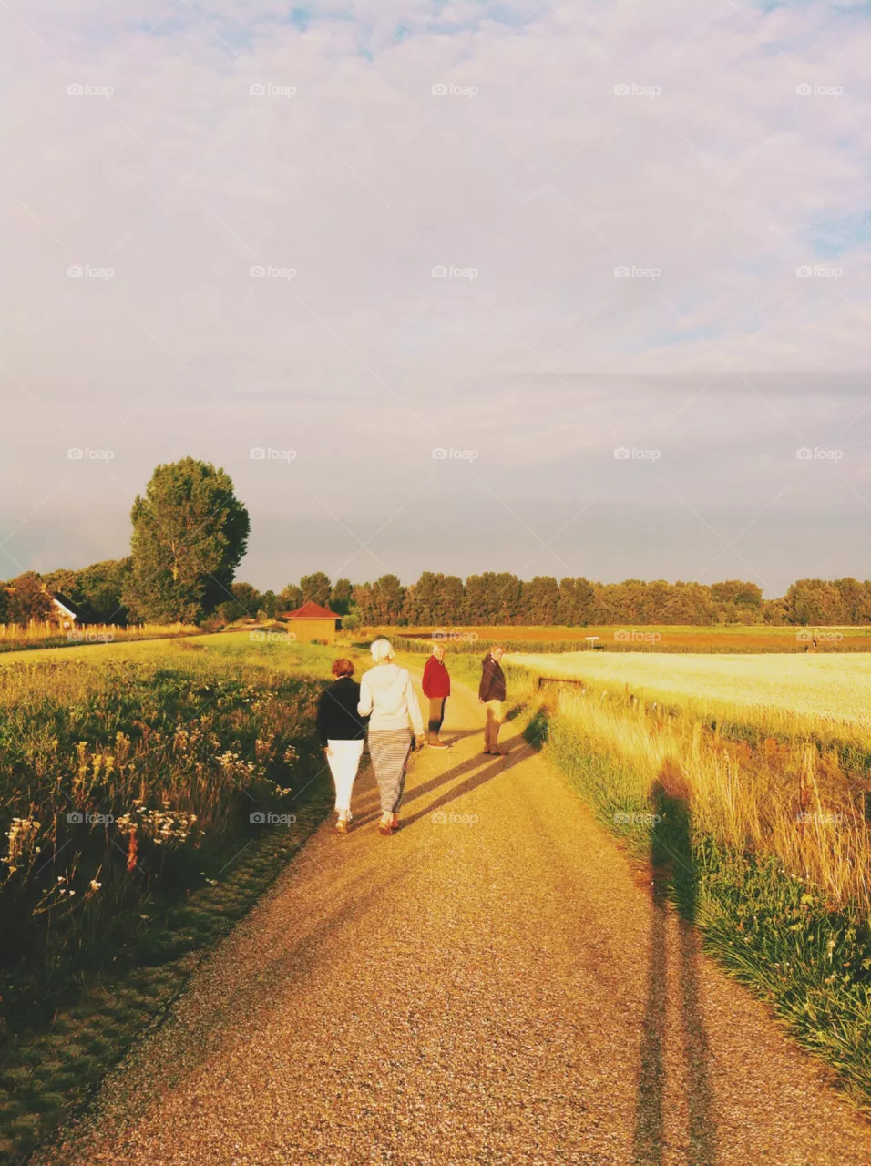 Walk