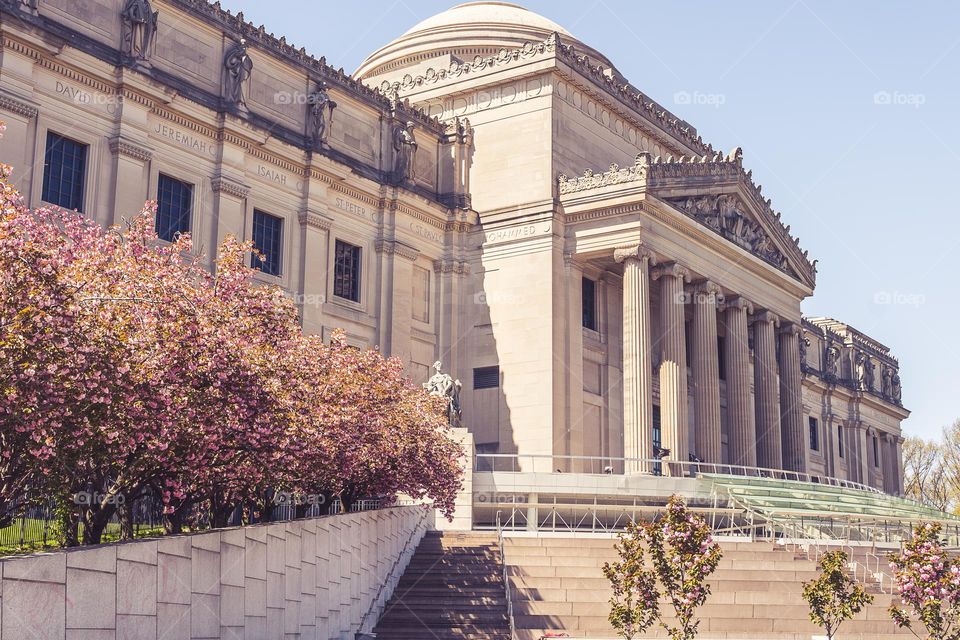 New York, Brooklyn, public library