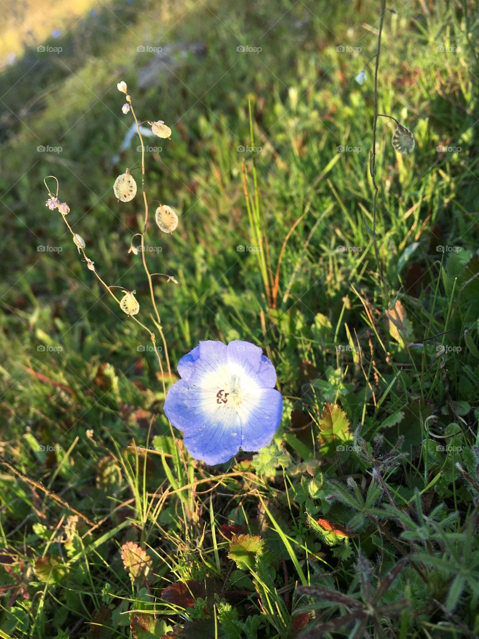 A pic I took in the springtime 