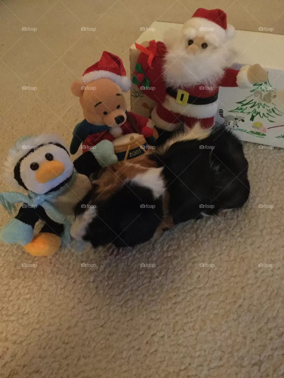 Toy, Mammal, Dog, No Person, One
