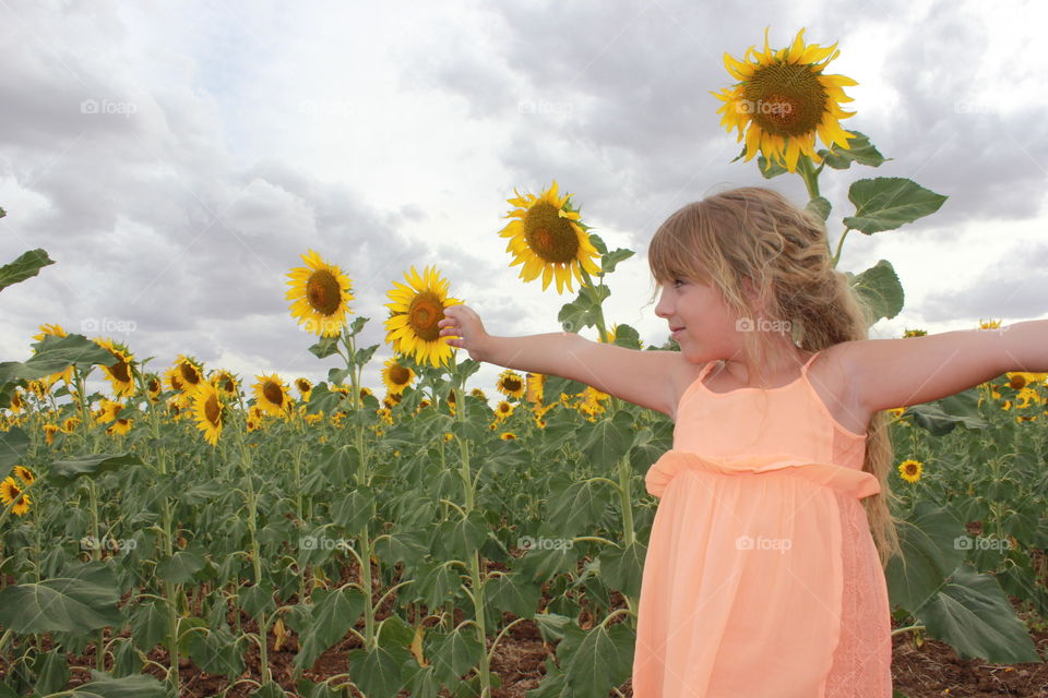 a flower among sunflowers