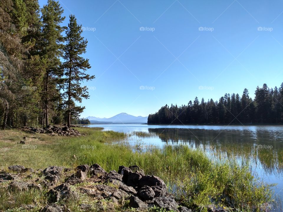 Serenity on the Lake