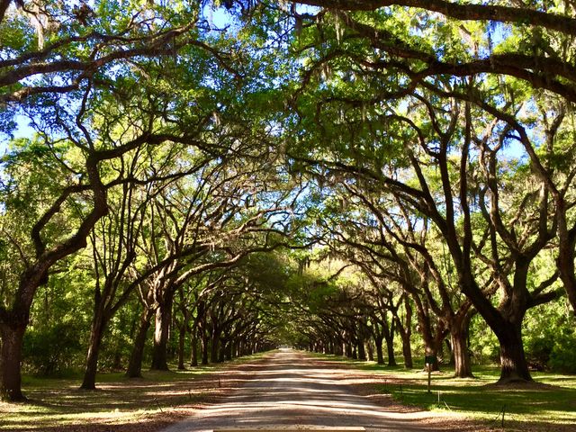 Wormsloe