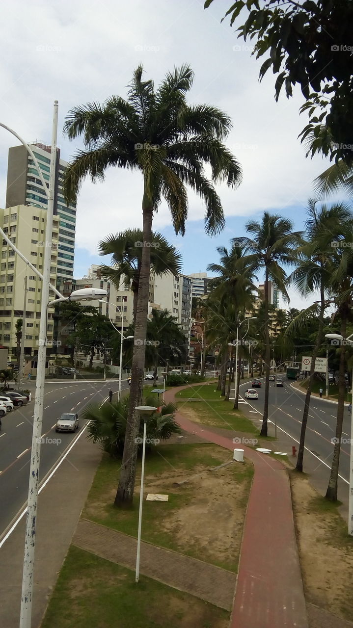 linda avenida