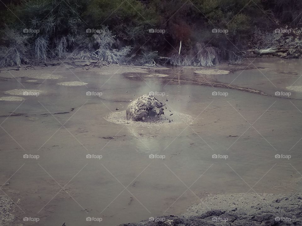 Boiling mud bog, Rotorua, New Zealand.
