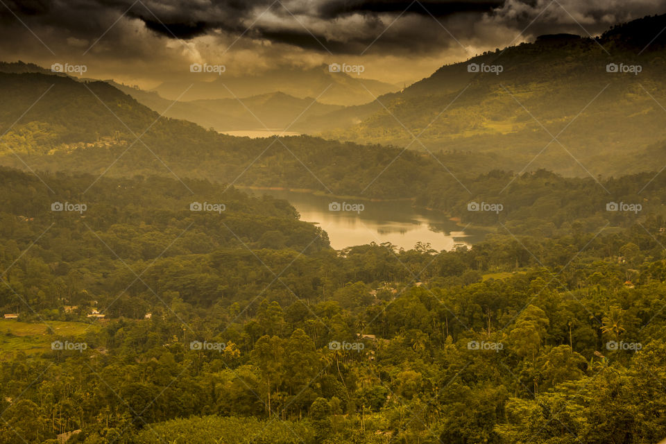 let the vacation begin