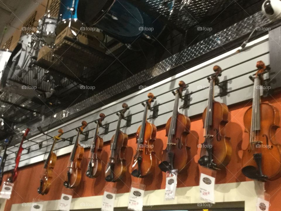 Violins 