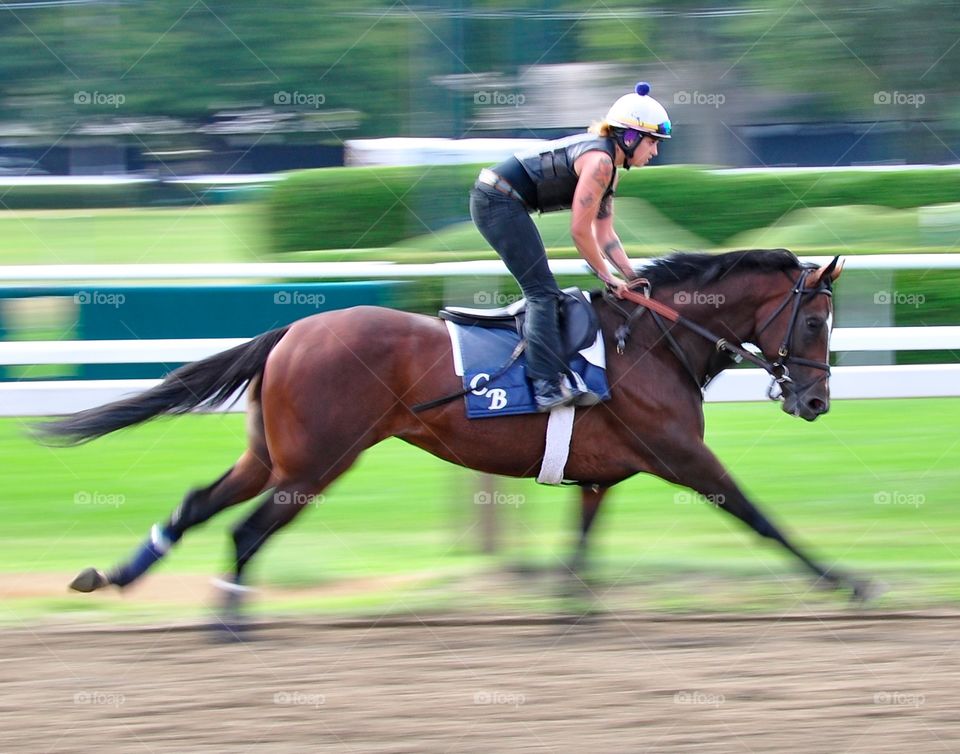 Chad Brown Speedball. This award winning photo of a Chad Brown speedball was shot to show motion blur as this colt flew by me. 
Fleetphoto