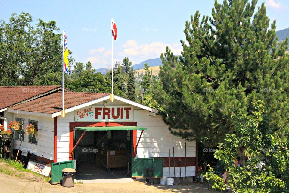 Fruit market