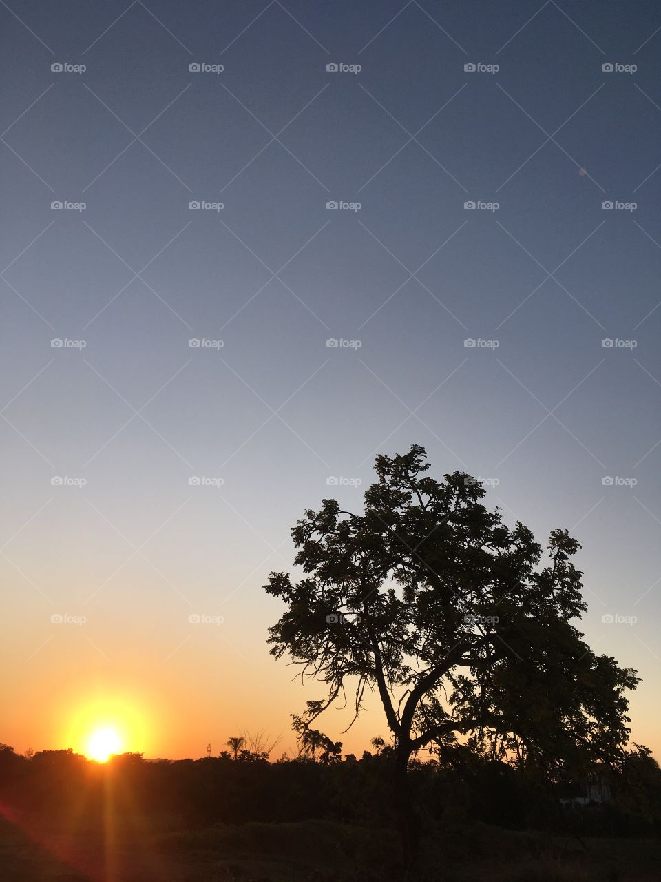 🌄 #Entardecer que nos traz motivação!
Como não se inspirar com a beleza da #natureza?
📸 🌗 
#FOTOGRAFIAéNOSSOhobby
#fotografia #sol #sun #sky #céu #nature #horizonte #paisagem #landscape #inspiração #mobgrafia #XôStress