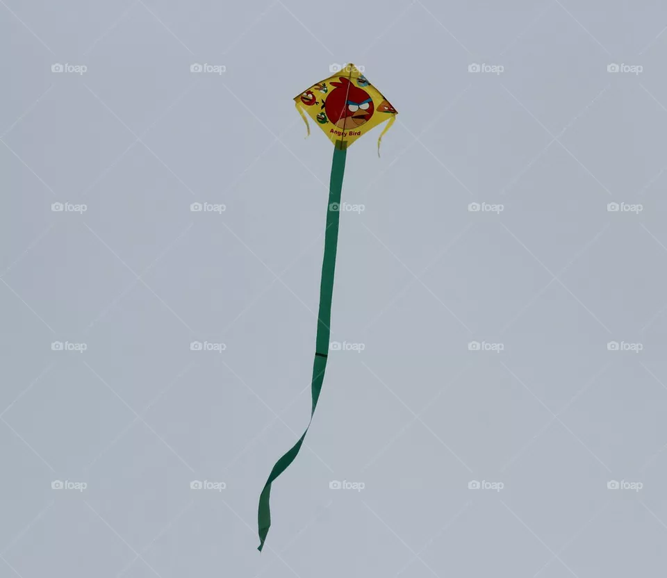 kite