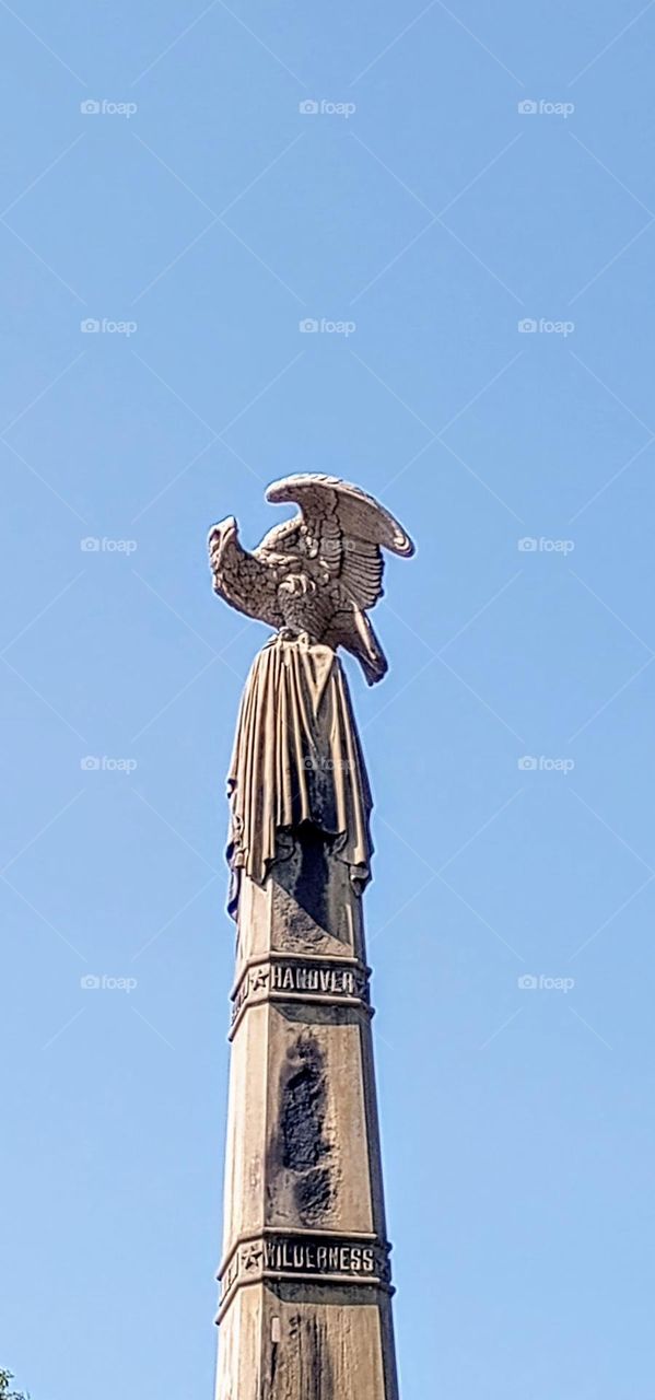 Eagle Statue