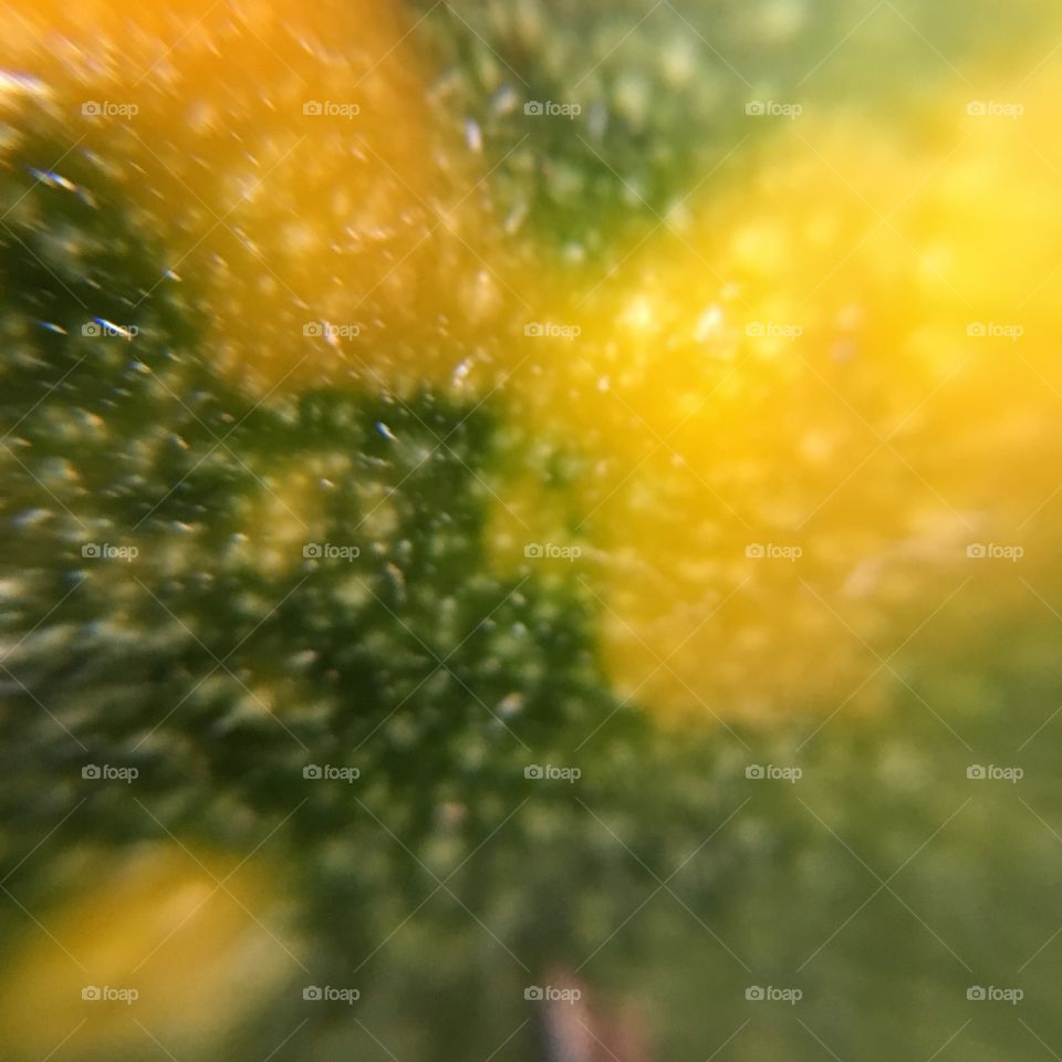 Nature, Color, Desktop, Bright, No Person