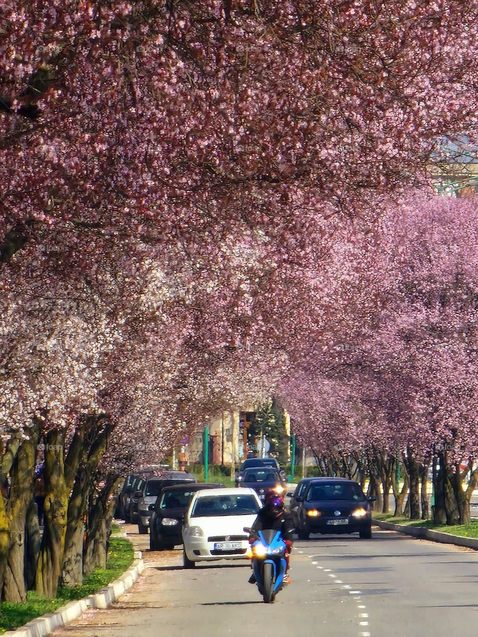 spring road