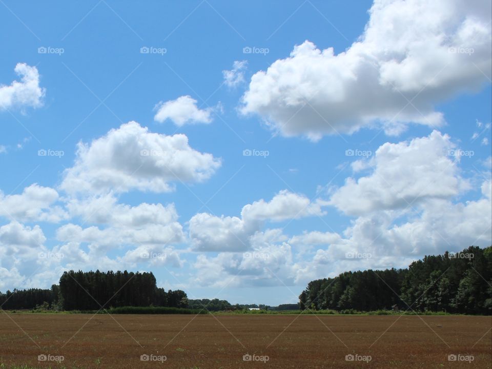 Visiting a farm in North Carolina