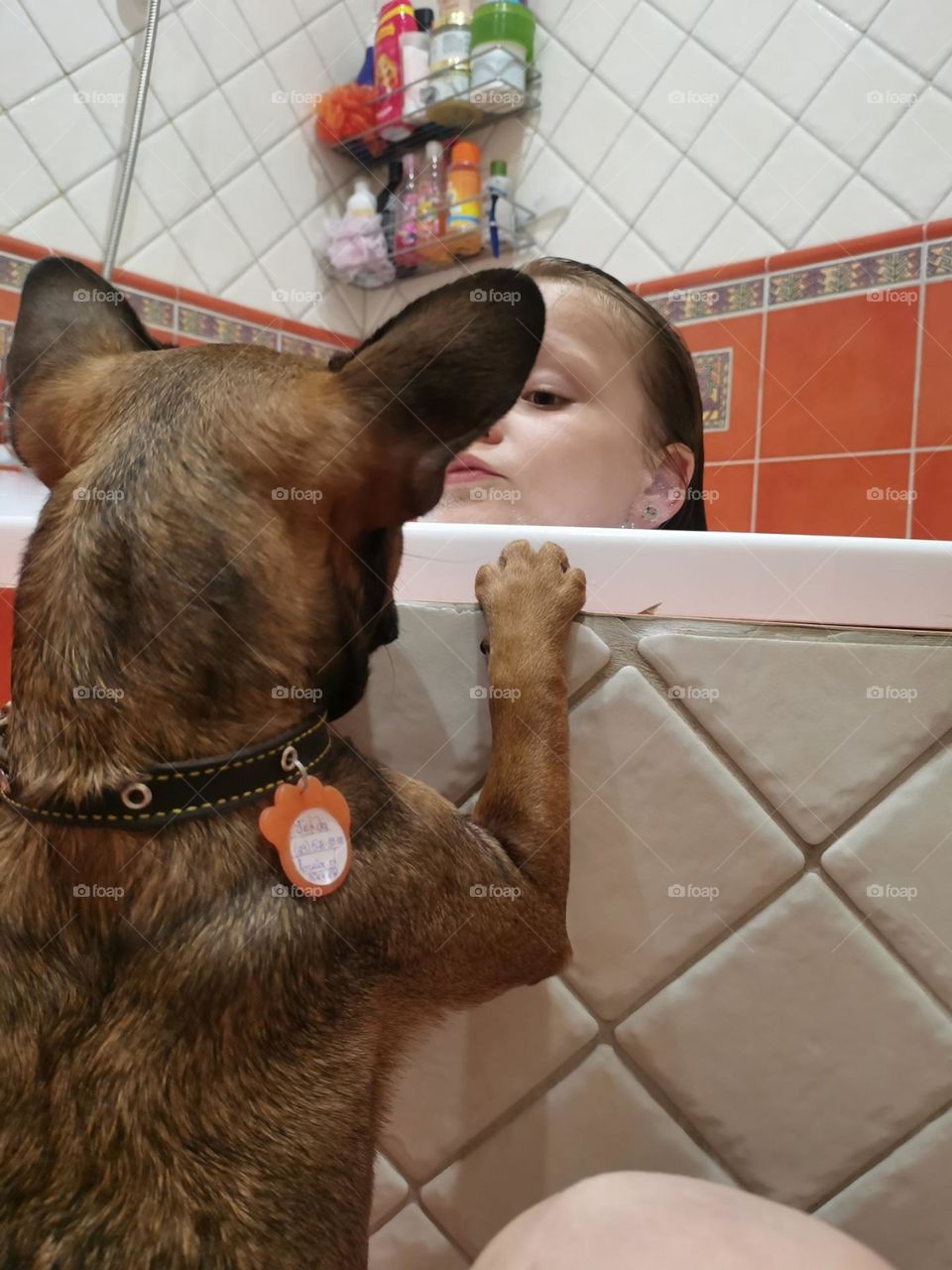 Не шуточный интерес