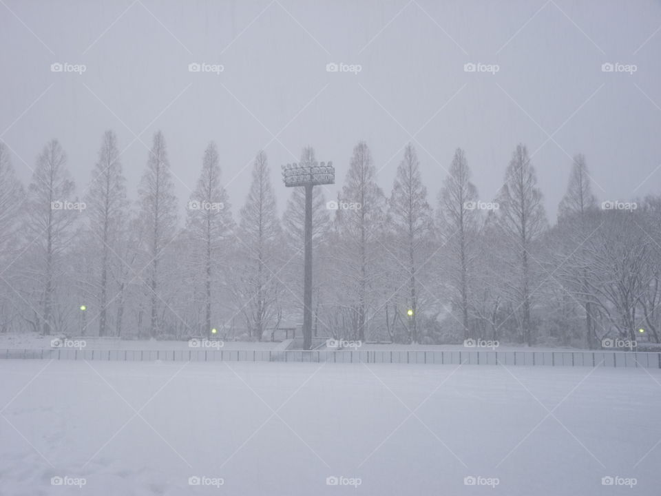 Snow in Japan