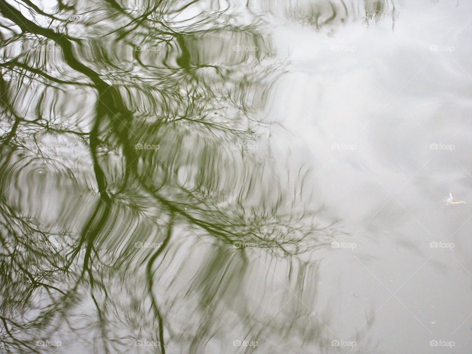 reflection in water