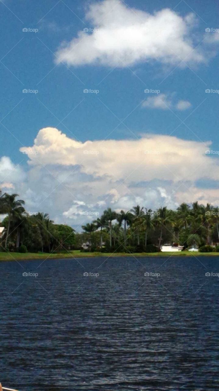 Florida. Distant thunderstorm in Florida. Picture taken through sunglasses to give the unique color.