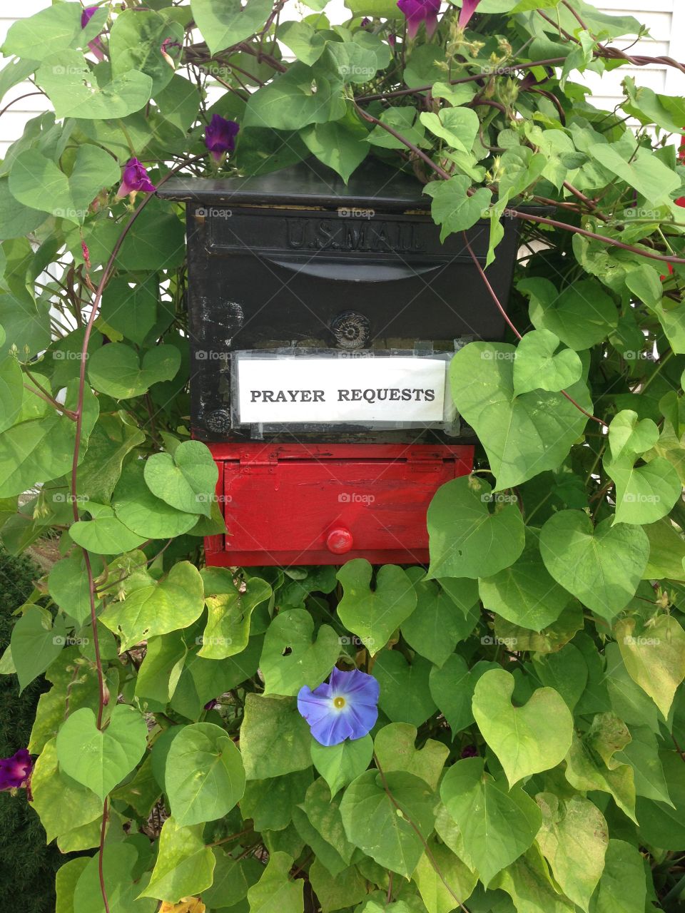 It's time!. Located this old mail box in Saugatuck Michigan converted into a prayer box 