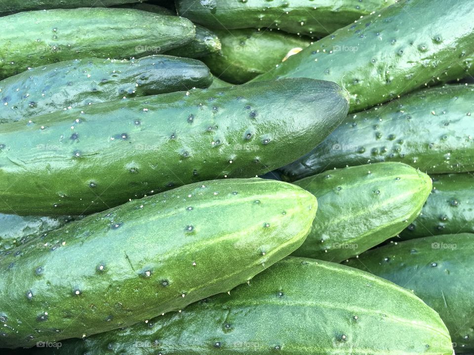Fresh green cucumbers background. Fresh vegetables  Healthy food. 