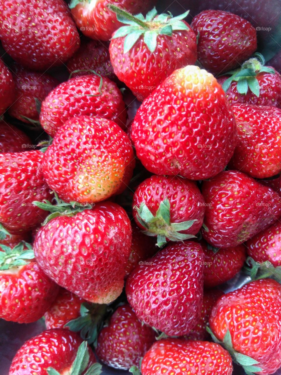 strawberries fresh healthy summer food