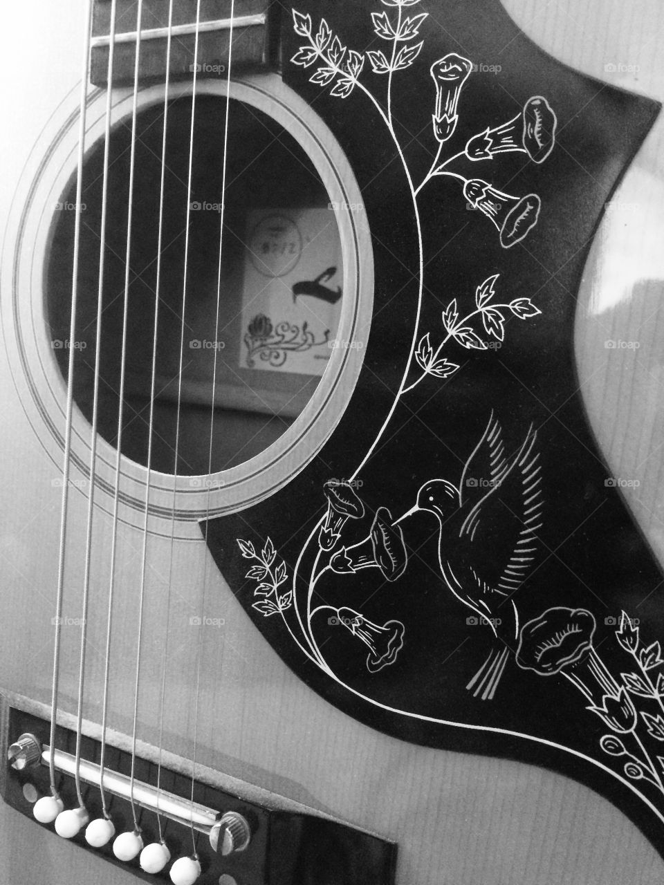 Guitar close up in black and white 