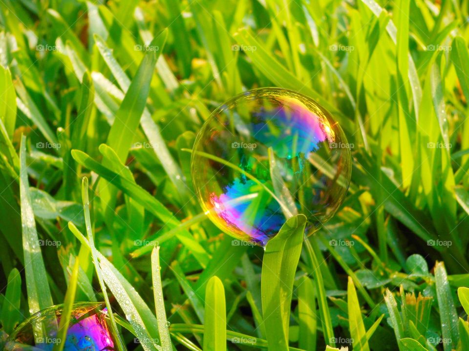 I was outside to have some fun, and I blew bubbles and took this pic of two bubbles in the grass.