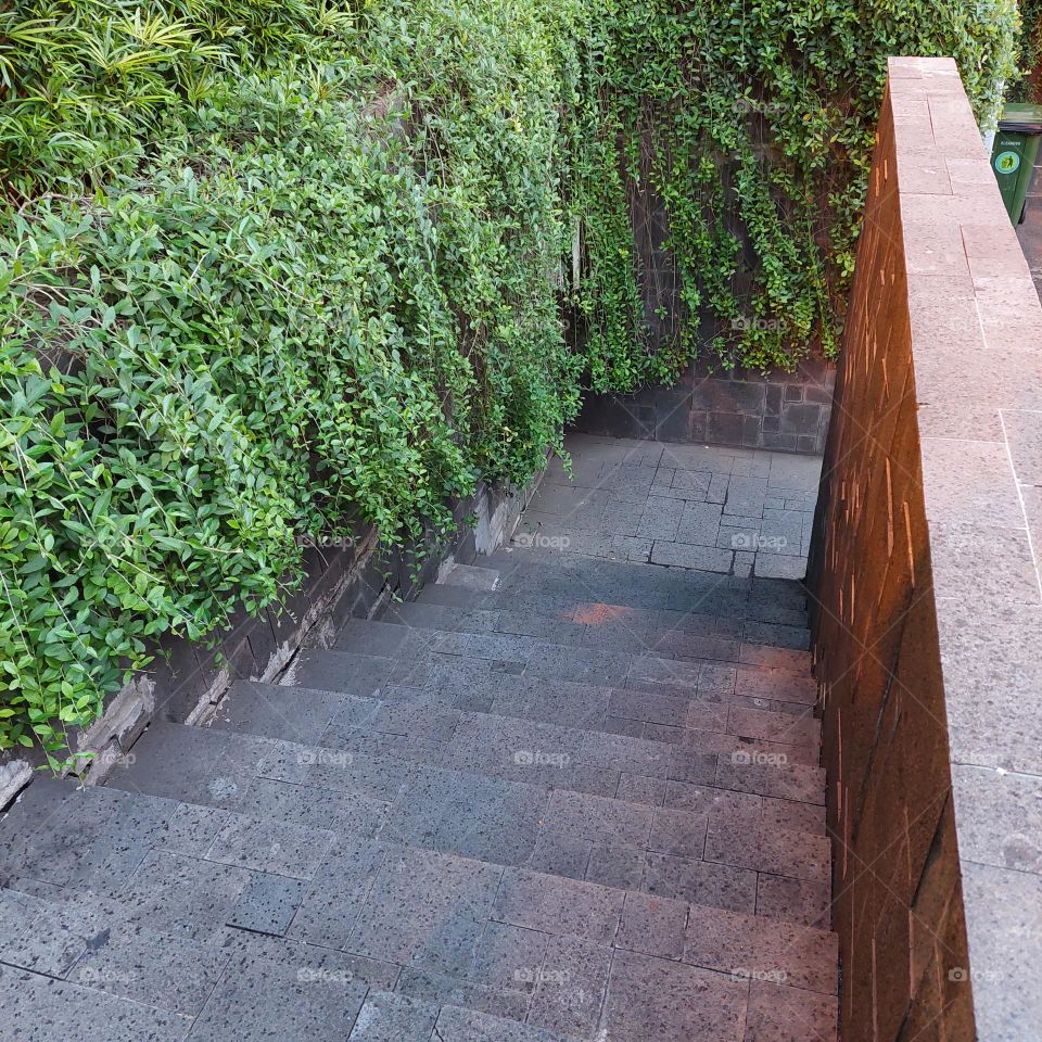 aisle with stairway with vines wall