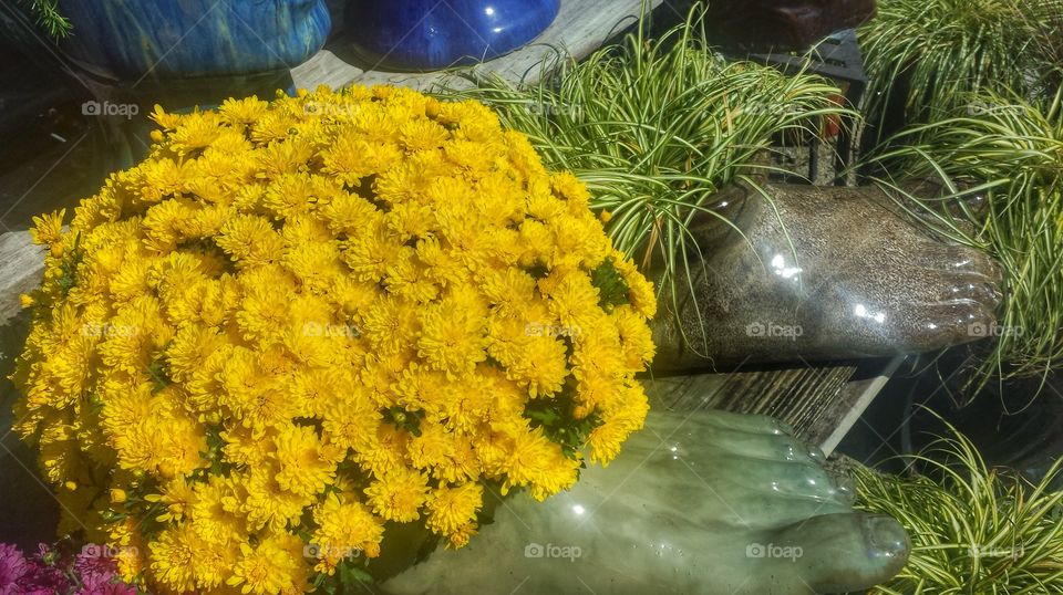 Autumn Flowers. Foot Planter